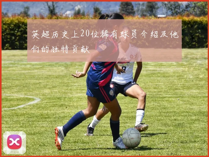 英超历史上20位稀有球员介绍及他们的独特贡献