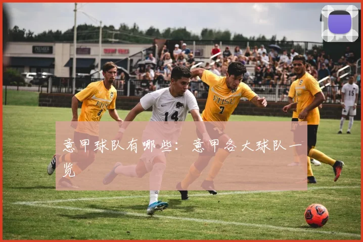 意甲球队有哪些：意甲各大球队一览