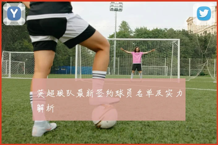 英超狼队最新签约球员名单及实力解析