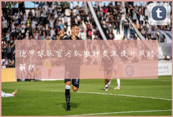 德甲球队官方队徽种类及设计风格解析